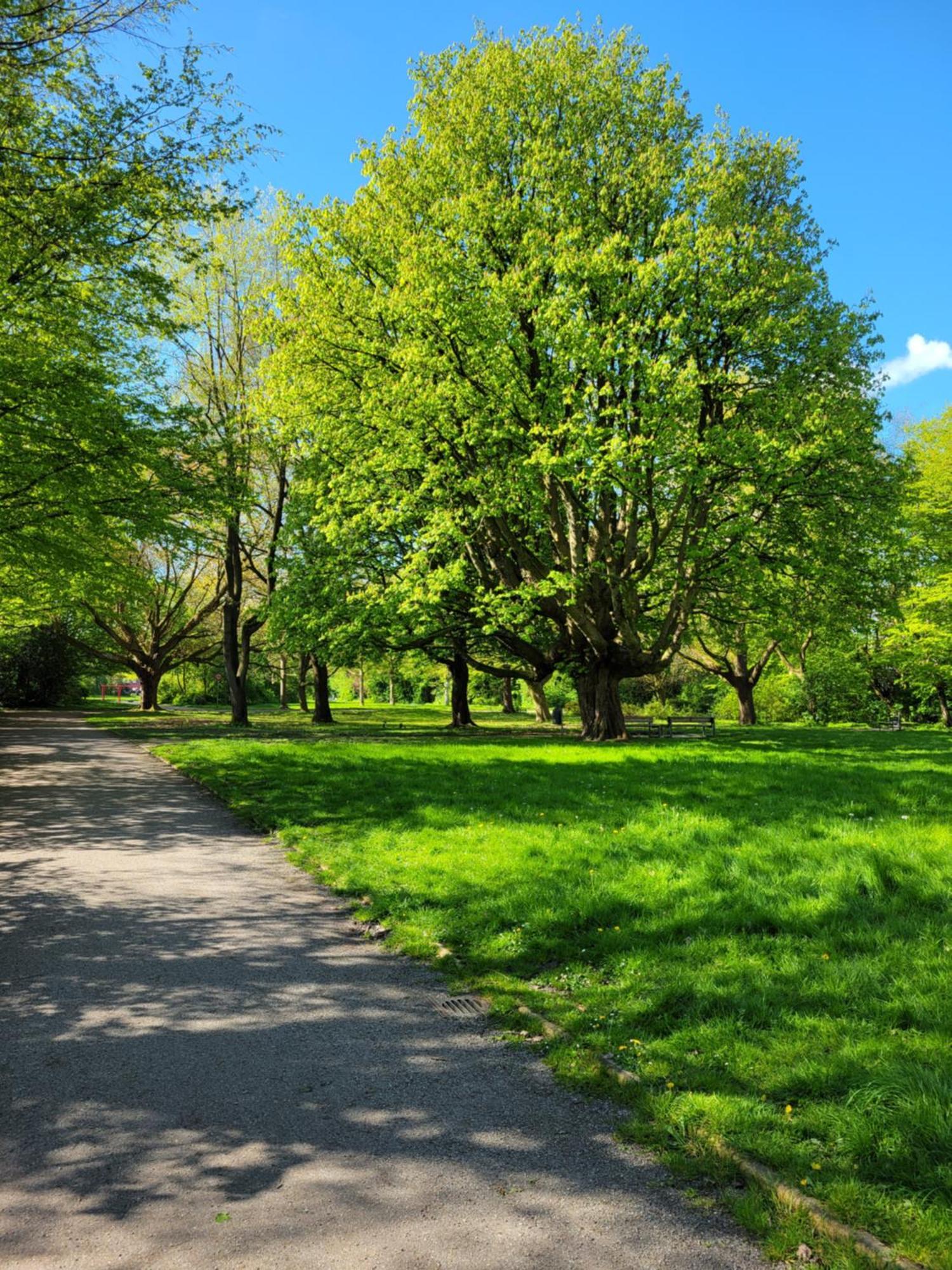 Ferienwohnungen Am Park Wilhelmshaven Bagian luar foto