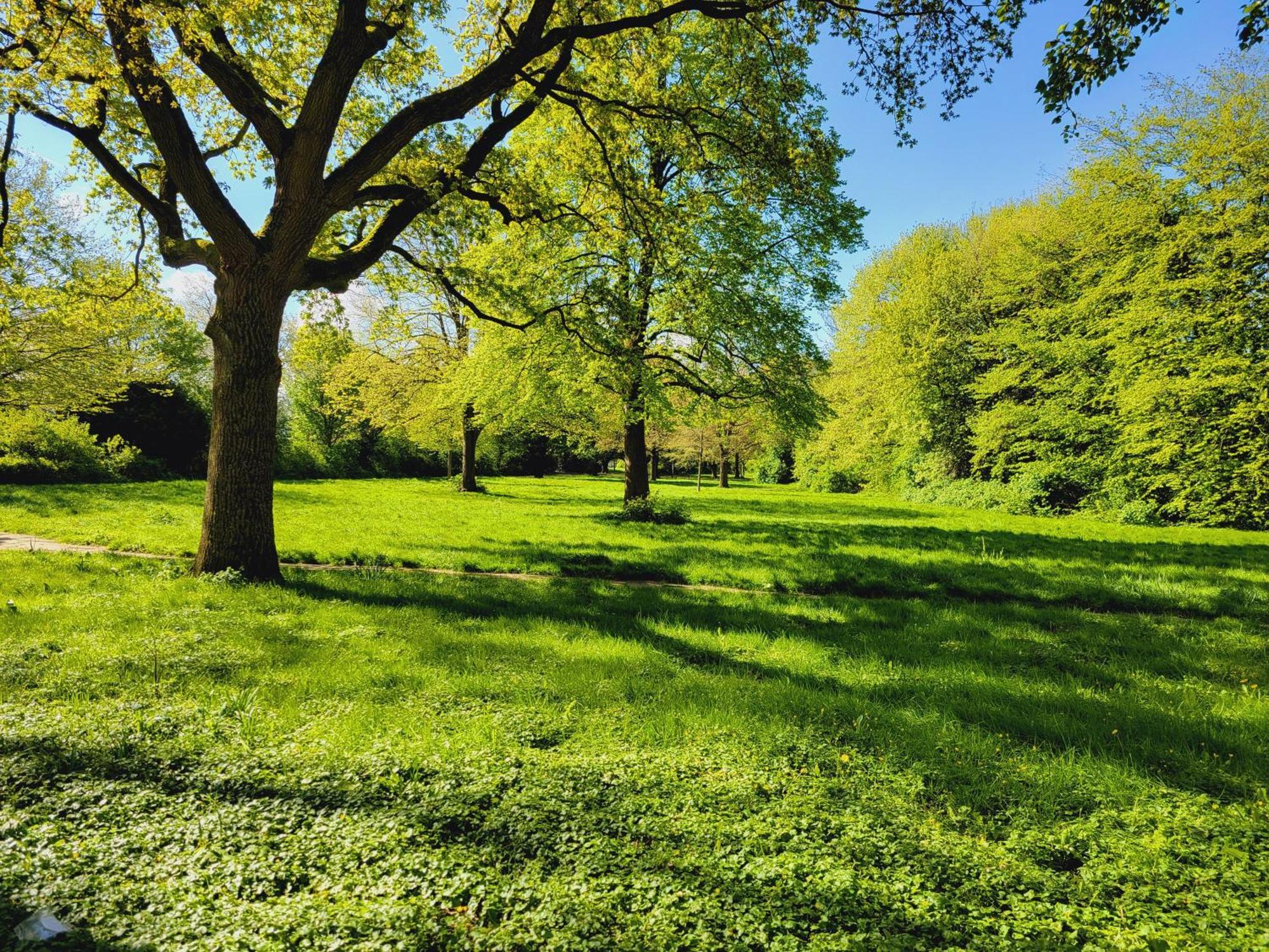 Ferienwohnungen Am Park Wilhelmshaven Bagian luar foto